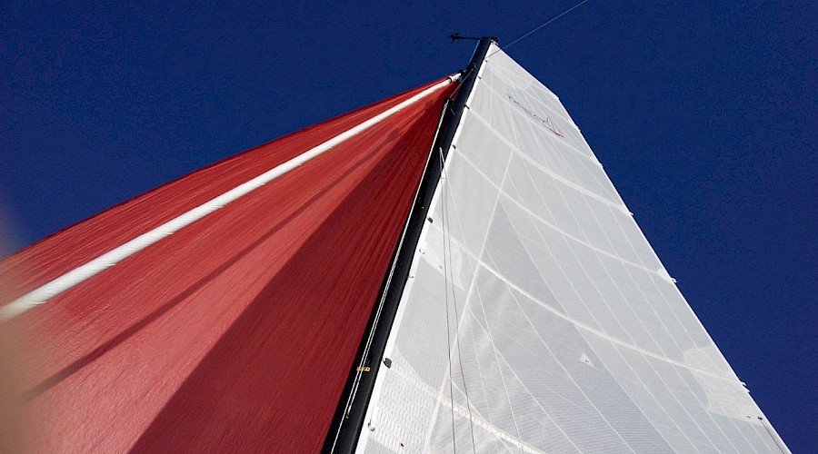 2014 Tricat 25 Evolution - inclusief trailer